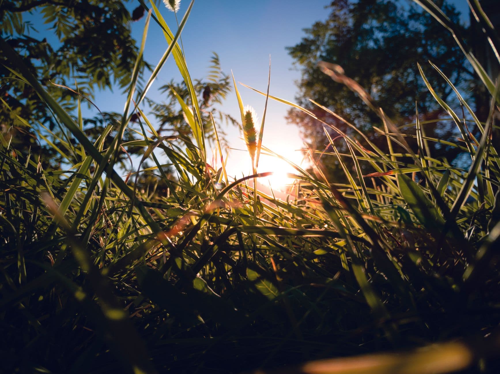 Letnje sunce nije dovoljno: Zašto polovina odraslih u UK ima manjak vitamina D